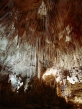 USA_NM_Carlsbad Caverns (1)